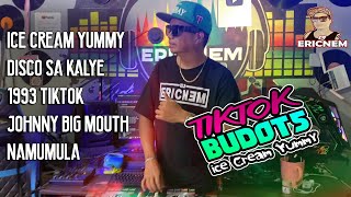 Ice Cream Yummy Disco Nonstop  Dj Ericnem [upl. by Keifer53]