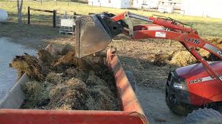 New Holland Manure Spreader In Action [upl. by Atarman]