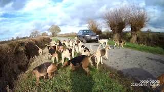 Ledbury Hunt 10th March 2023 [upl. by Thgirw]