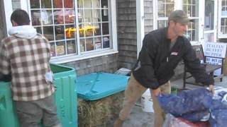 Oysters and clams arrive at Wellfleet OysterFest [upl. by Ttesil]