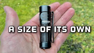 Warrior Nano is a pretty cool size flashlight from Olight for EDC [upl. by Lindgren]