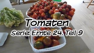 Machs Dir Selbst  Tomaten Serie Ernte 24 Teil 9 [upl. by Sirama25]