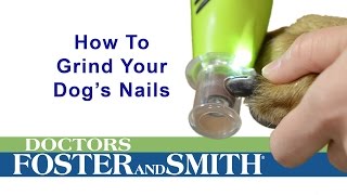 How to Grind Your Dogs Nails DrsFosterSmith [upl. by Nida]