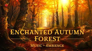 Enchanted Forest Autumn Ambience 🍂🍄🧚🏻‍♀️ Fantasy Music amp Ambience  ASMR to Study Read and Relax [upl. by Henry]