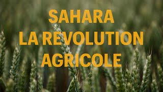 Sahara  La révolution agricole [upl. by Osnohpla]