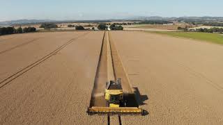 New Holland CR 880 Tracked combine harvester in 4K  Scotlands Wheat Harvest 2021 [upl. by Katherin564]