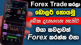 Forex trading for beginners sinhala [upl. by Bronnie]