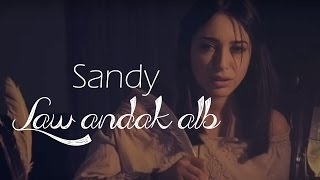 Sandy  Law Andak Alb Lyric Video  ساندي  لو عندك قلب [upl. by Elleivad]