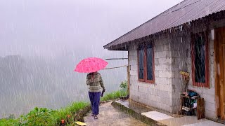 HEAVY RAIN IN BEAUTIFUL HILLY VILLAGE  HEAVY RAIN AND STRONG THUNDER SOUNDS [upl. by Vitus]