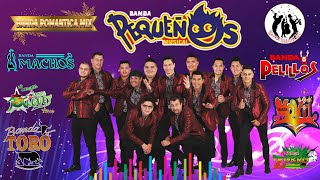 Pequeños Musical 🎺 Banda Machos 🎷 Maguey 🎺 El Mexicano 🎷 Recodo🎷Tecno Bandas Quebraditas Exitos 💃 [upl. by Erdnassak]