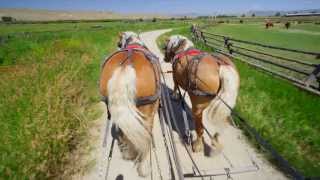 GrantKohrs Ranch Days in SouthWest Montana [upl. by Eisnyl]