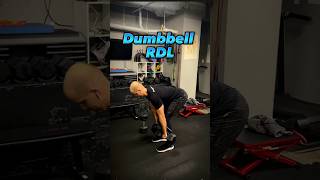 Dumbbell RDL  Hamstring Exercise  Back Strength  Grip Strength  Personal Training [upl. by Inga]