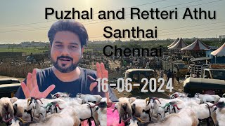 Vlog  12  Puzhal and Retteri Athu Santhai Chennai 16062024 Heavy rate in Market [upl. by Sugirdor]