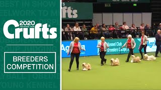 Breeders Competition Final  Crufts 2020 [upl. by Conard915]