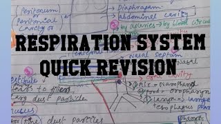 Respiration System Anatomy and PhysiologyQuick Revision [upl. by Azirb]