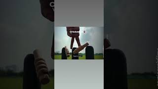 Cricket loves 🥹✊🧿🏏trending shortvideo viralvideo cricket cricketnews viralshort viratkohli [upl. by Adnahsal]