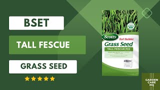 Top 5 Best Tall fescue Grass Seed 2024 Updated [upl. by Loralie548]