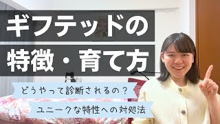 【高IQだけじゃない】ギフテッドの特徴、診断、育て方を徹底解説！ [upl. by Chrissy122]