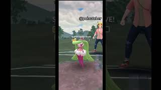 swampert vs this meta killer in greatleague  pokemon pvp gbl gobattleleague pokemongo [upl. by Ahsykal]