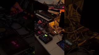 techno live action with elektron behringer Jomox Mbase Quasimidi Sirius part 5 [upl. by Silvan]