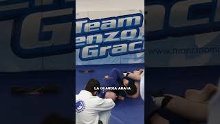 Danaher  Gi vs Nogi [upl. by Merriam]