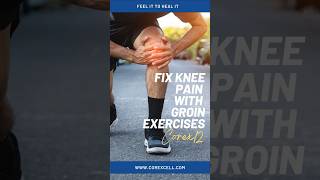 Fix Knee Pain with Groin Exercises kneerehab exercisetechniques [upl. by Anrapa]