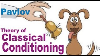 Pavlovs Classical Conditioning Theory of Learning  CDP for CTET  HTET  UPTET  KVS  NVS [upl. by Annez]