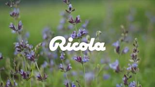 Commercial  AE  RICOLA [upl. by Eelsew]