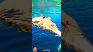 ls Dead whale Dangerous 😱 [upl. by Nitreb140]