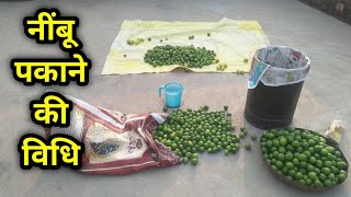 How to Ripener Lemon नीबू को कैसे पकाये सरल विधि i [upl. by Airemaj]