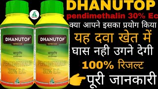 Pendimethalin 30 Ec Dhanutop यह दवा खेत में घास उगने नही देगी Pre Emergence Herbicides [upl. by Newel]