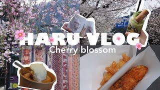 VLOG嵐山京都桜🌸／食べ歩き🍦やっと春らしいことした日 [upl. by Attekram517]