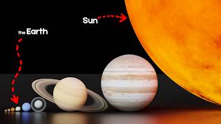 How big is the Solar System  3d Animation Comparison [upl. by Zurc]