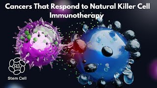 Cancers that Respond to Natural Killer Cell Immunotherapy [upl. by Eseneg]