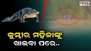 କୁମ୍ଭୀର ମହିଳାଙ୍କୁ ଖାଇଲା ପରେ Odia News Live Updates  Latest Odia News  Samayalive [upl. by Secilu341]