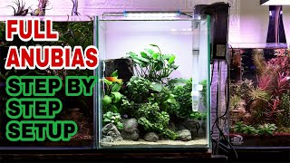 ‼️Aquascape Nano Tank Full Anubias 😀 [upl. by Hardigg]