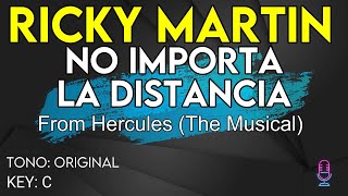 Ricky Martin  No Importa La Distancia Hercules  Karaoke Instrumental [upl. by Pippo]