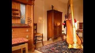 Regina Ederveen classical harpist plays Mazurka by Edmund Schuëcker on harpMOV [upl. by Llered556]