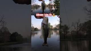 Try a Tube Fishing Fly for Bass fishing bassfishing flyfishing [upl. by Drus]