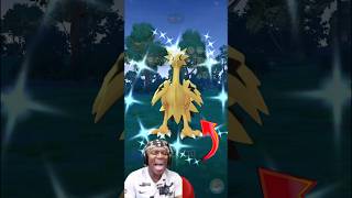 Daily incense Wild Legendary✨Shiny Galarian Zapdos in pokemon go pokemongo soparstart shiny [upl. by Negriv]