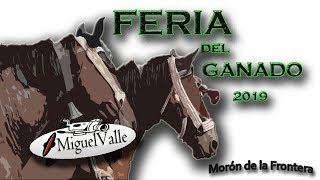 Feria del Ganado  Morón de la Frontera 2019 [upl. by Anila]