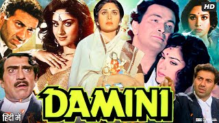 Damini 1993 Full Movie  Sunny Deol  Meenakshi Seshadri  Amrish Puri  Rishi Kapoor Review amp Fact [upl. by Alvita]