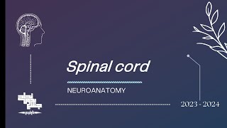 Neuroanatomy Spinal cord Sec1 [upl. by Weaks]