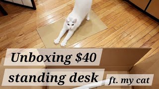 Unboxing 40 standing desk [upl. by Wolfe304]