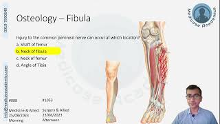 Lower Limb Question Discussion August November 2023 attempt [upl. by Kuebbing]