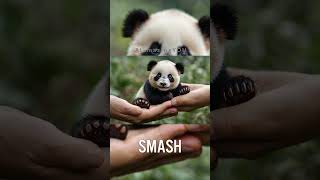 AI Magic Brings This Tiny Panda to Life on my Hand [upl. by Sylvan444]