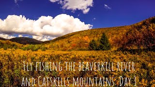 Fly Fishing Beaverkill River and Catskill Mountains Day 1 [upl. by Nanam522]