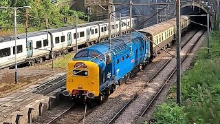 DIESEL  HOOVERS and DELTIC at speed Class 50  Class 55 [upl. by Yddeg563]