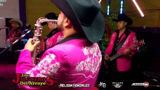 Los Jilgueros Del Arroyo • Tu Amor Y Mi Amor • En Vivo Chihuahua 2015 [upl. by Eekaz]