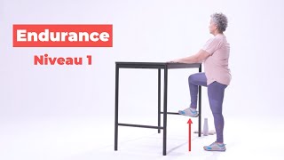 Endurance  Exercices pour les aînés  Niveau 1 de 4 [upl. by Cirre]